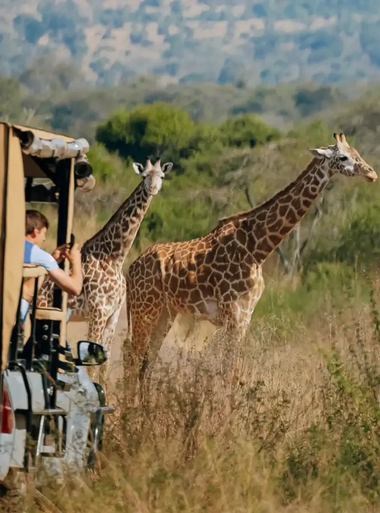 Visit Rwanda Akagera National Park