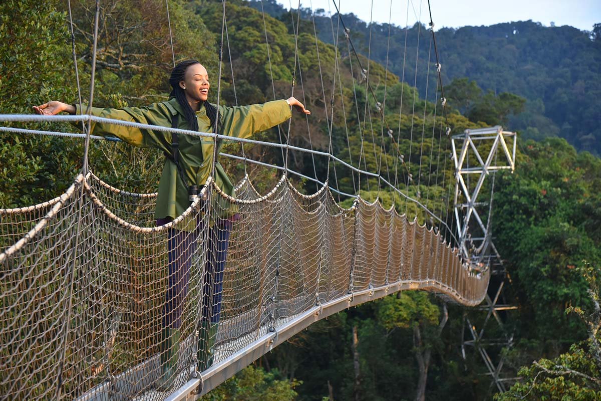 Canopy Walk in Nyungwe Forest Rwanda