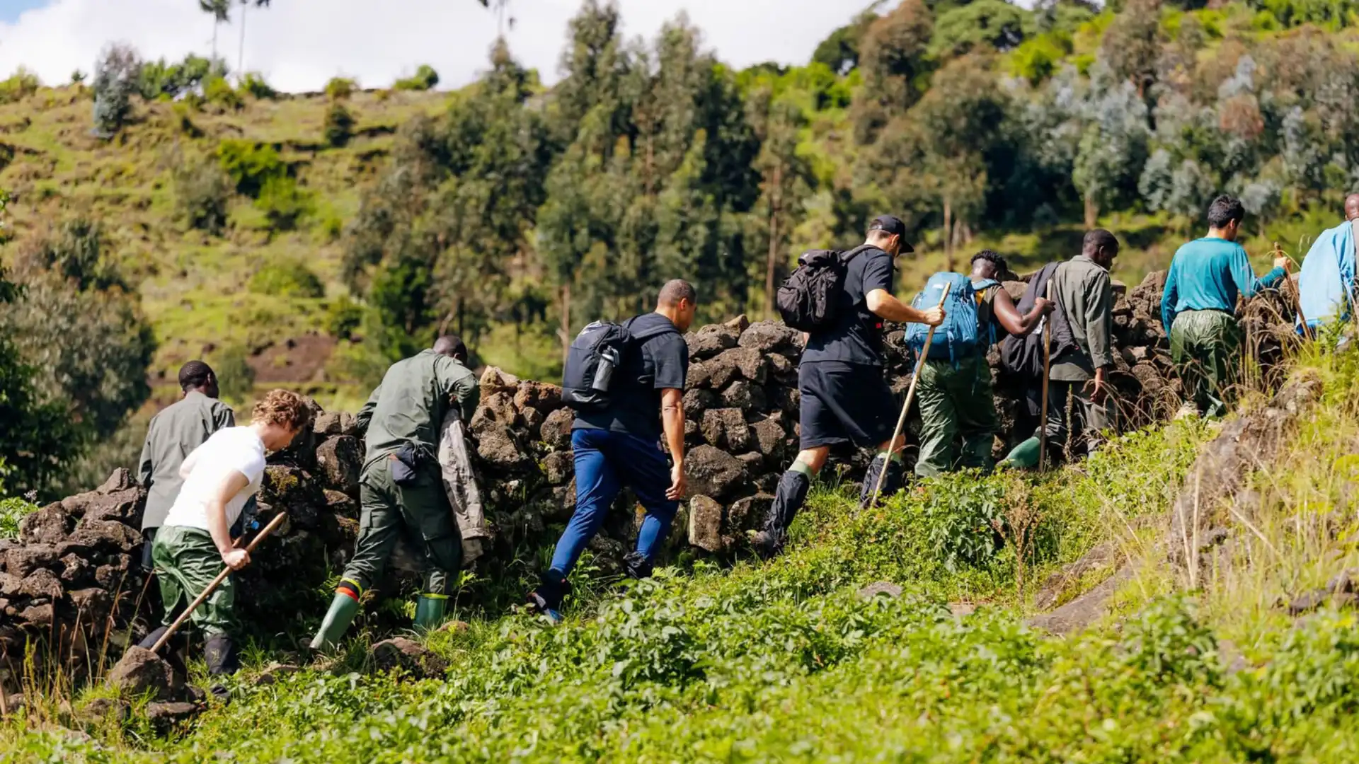 Difference Between Rwanda and Uganda Gorilla Trekking Scenery and Atmosphere