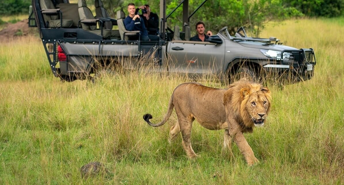 Can You See Lions in Rwanda lion viewing in Akagera National Park