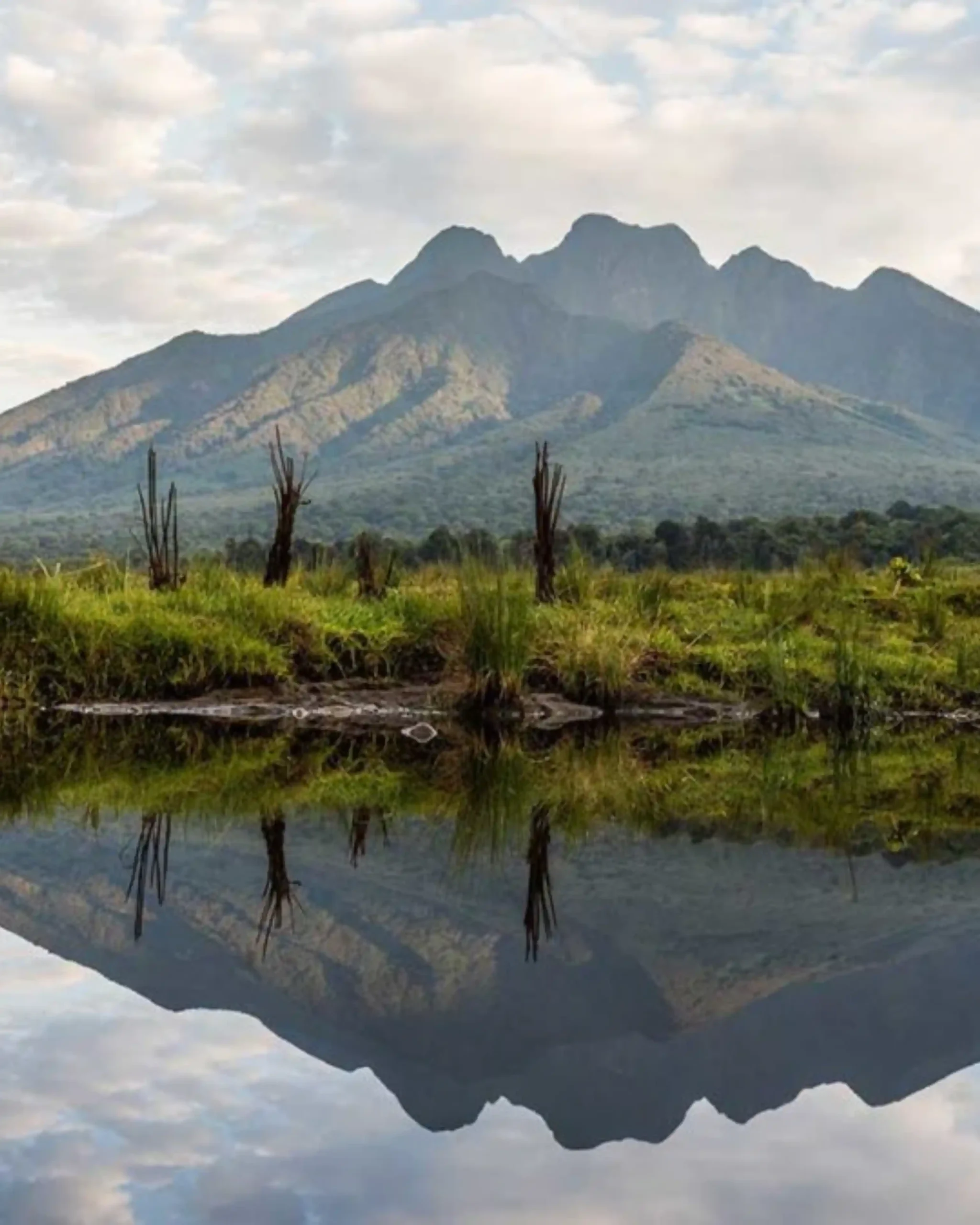 Volcanoes National Park Rwanda with Nextgen Safaris