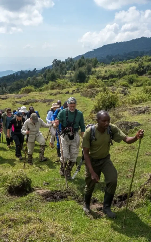 Volcanoes National Park-NextGen-Safaris-Rwanda