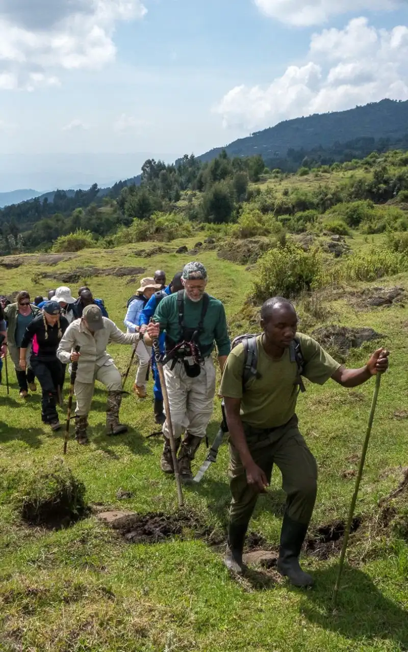 Volcanoes National Park Rwanda