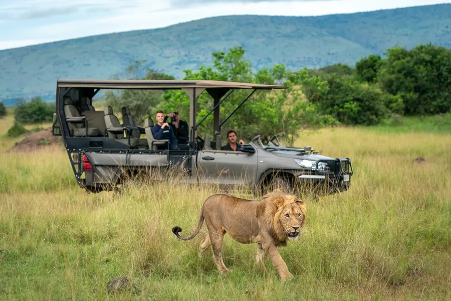 Game Drives in Rwanda with Nextgen Safaris
