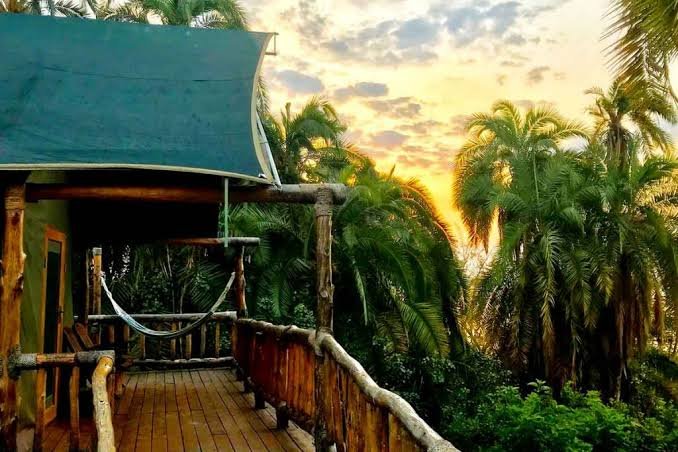Ruzizi Tented Lodge Luxury Akagera Safari