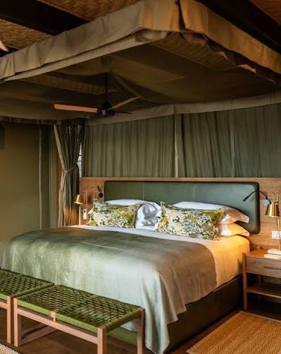 Luxury Rwanda Safari Experience