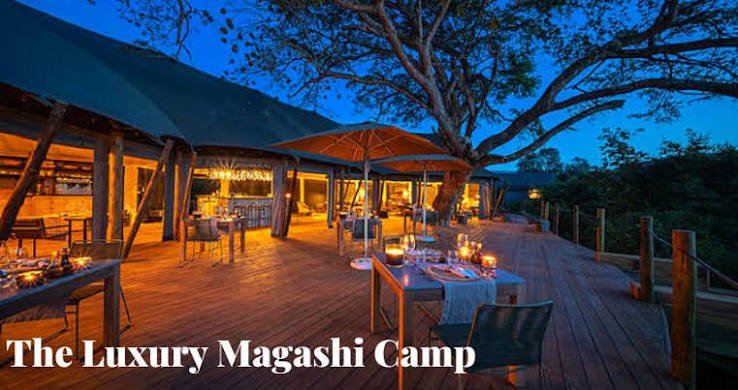 Rwanda Gorilla Safari Experience