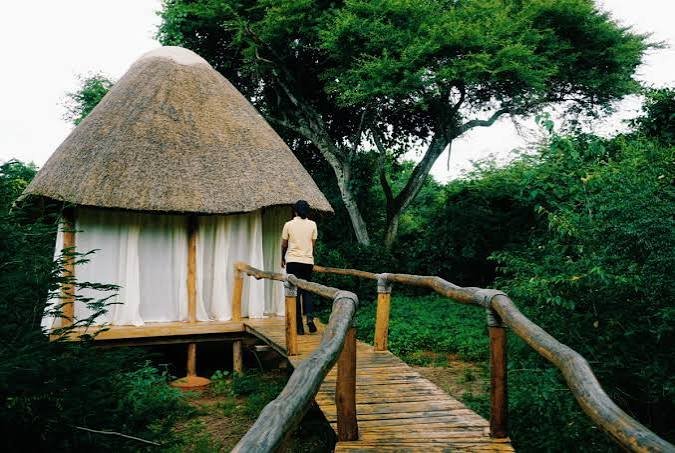 Rwanda Gorilla Safari Experience