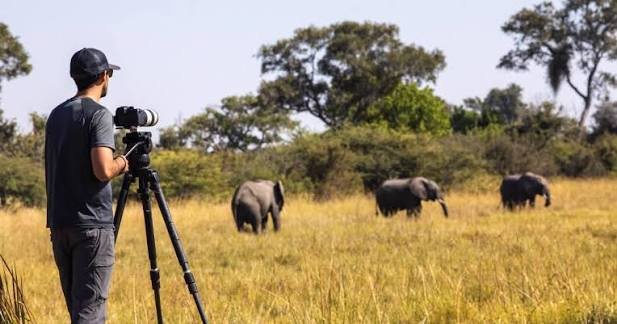 Luxury Rwanda Safari Experience for Photographers