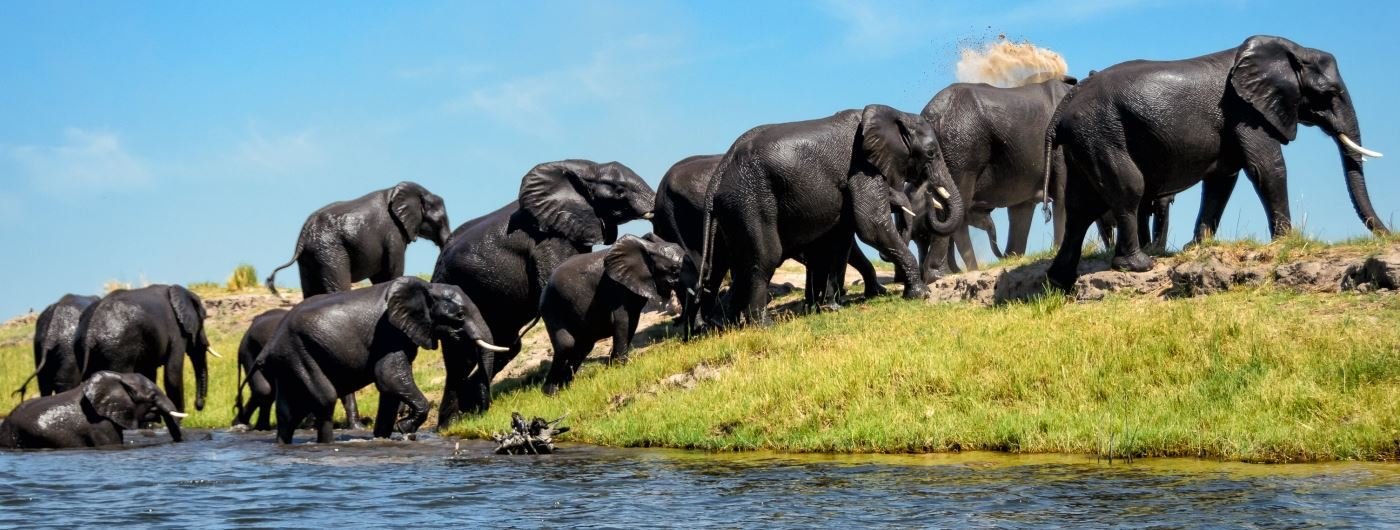 Chobe National Park in Botswana