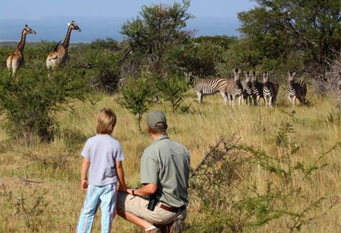 Akagera National Park The Heart of a Rwanda Family Safari