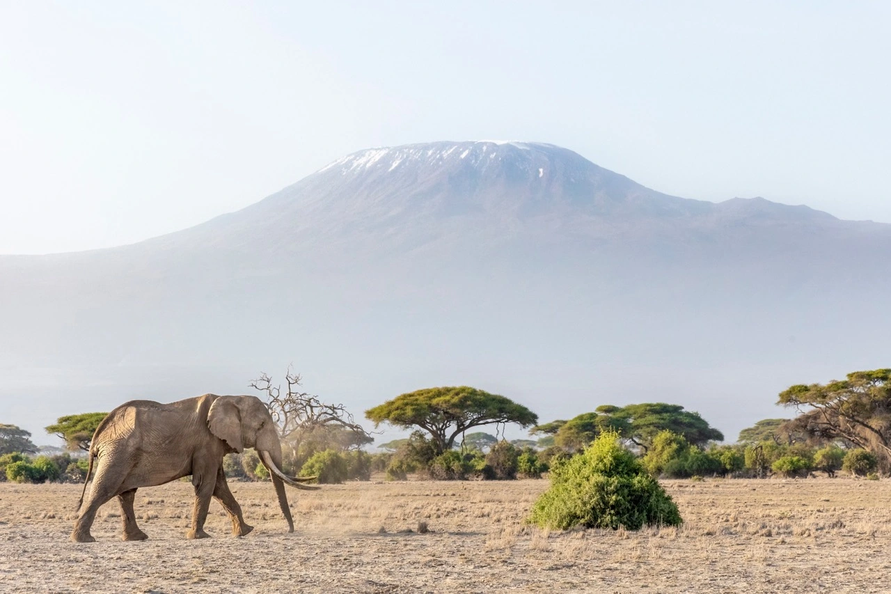 Amboseli National Park and Mount Kilimanjaro