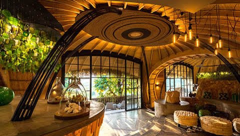 Singita Kwitonda and Magashi Luxury Rwanda Safari