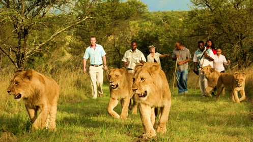 Big Five Safari Rwanda for Families