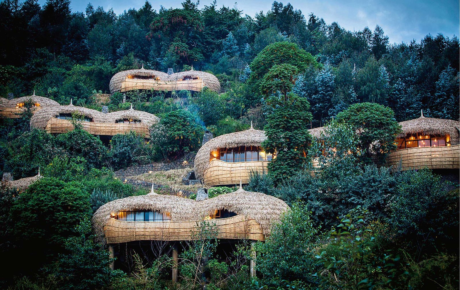 Bisate Lodge Versus Bisate Reserve Rwanda