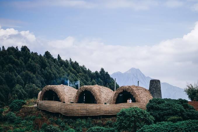 Bisate Reserve Luxury Safari in the Virunga Mountains