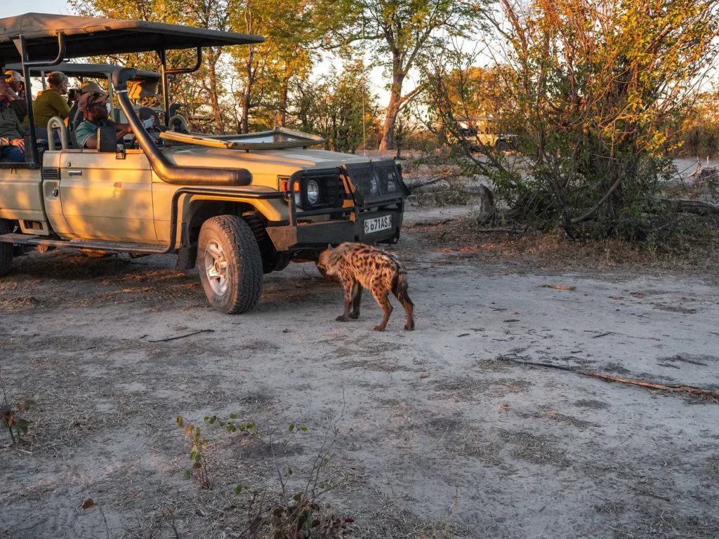 Botswana The Big Game Half of the Journey