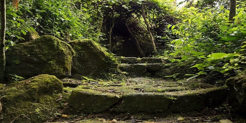 Buhanga Eco Park sacred forest and royal traditions in Rwanda