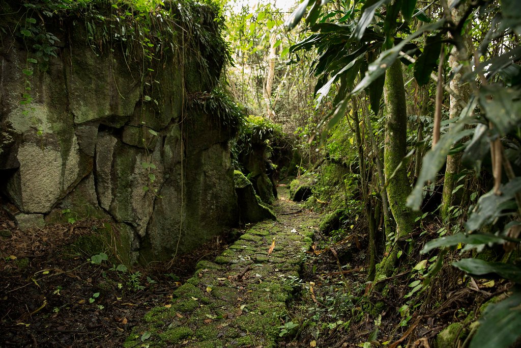 Quiet walking experience in Buhanga Eco Park Rwanda