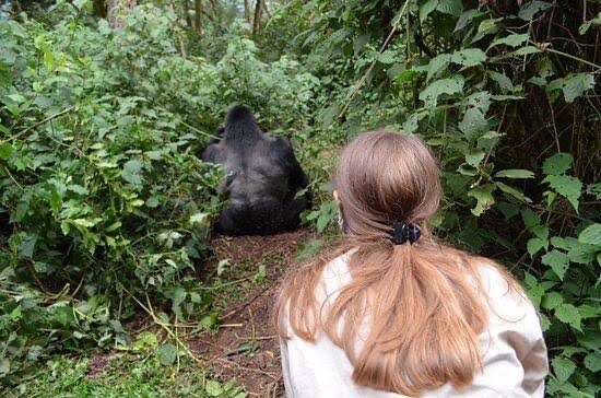 Children and family gorilla trekking rules in Rwanda