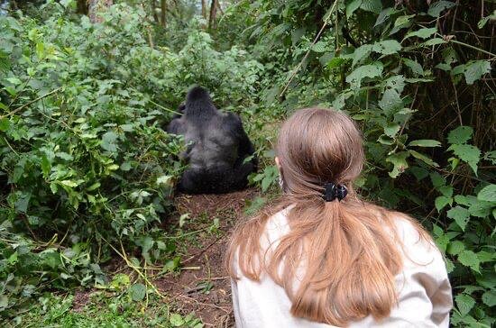 Can a 14 year old go gorilla trekking in Rwanda