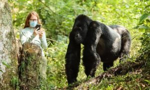 Can a 14 year old go gorilla trekking in Rwanda