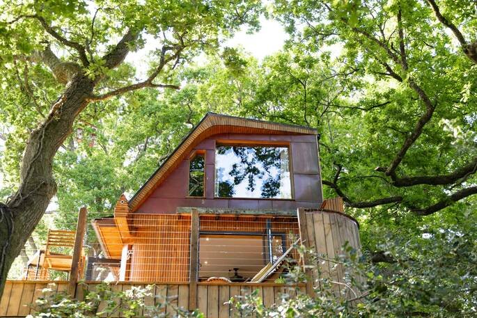 Canopy Treehouse Experience in Rwanda