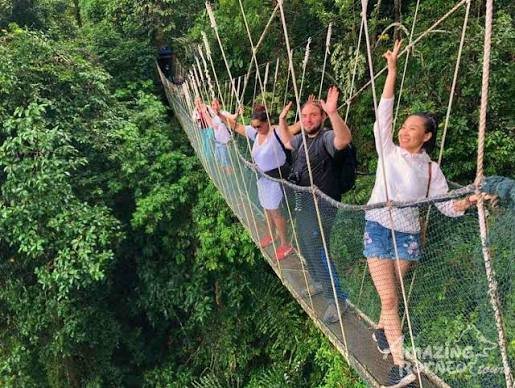 Canopy Walk in Rwanda