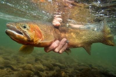 Catch and Release Fishing at Magashi in Akagera National Park