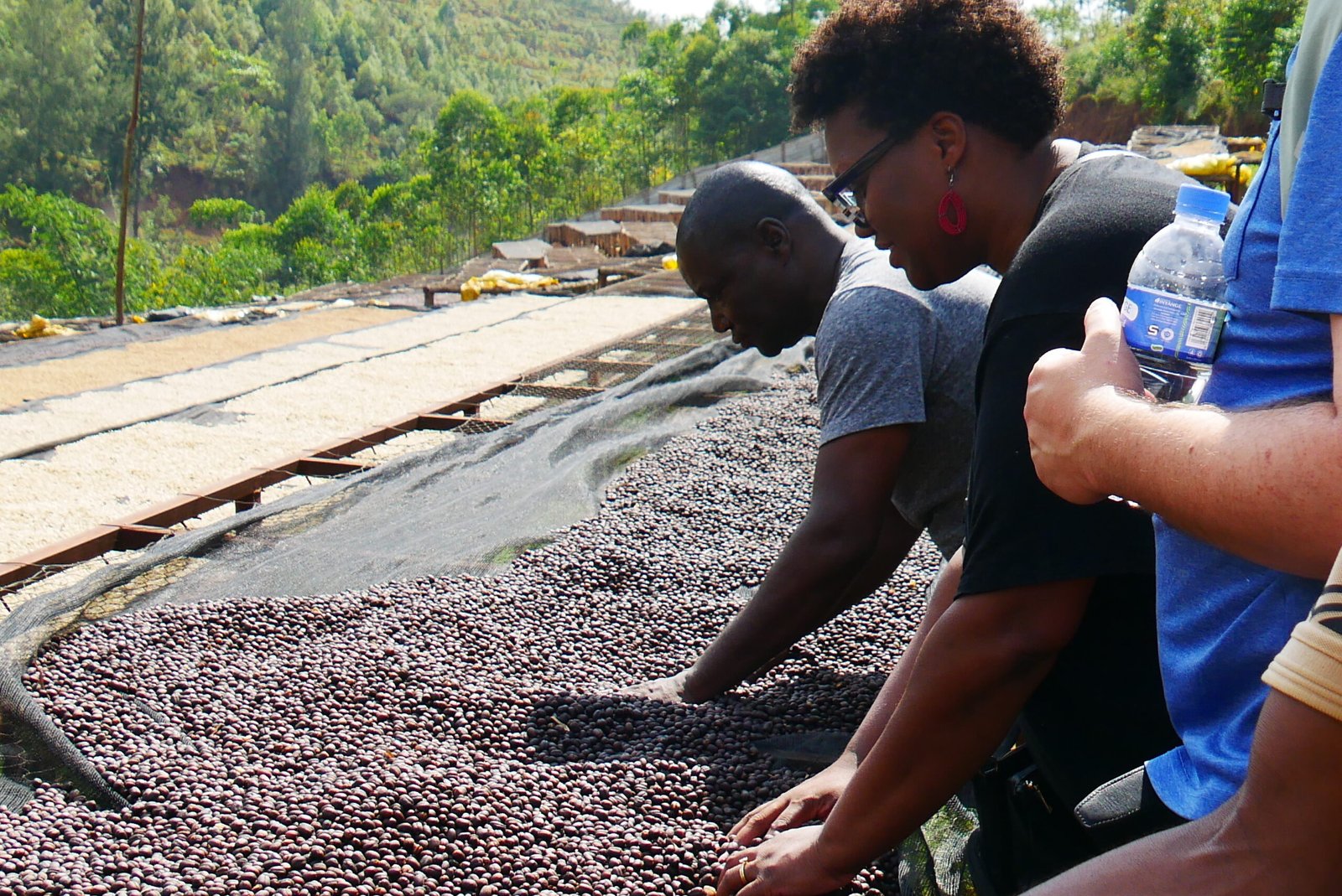 Coffee, Tea and Local Experiences Around Lake Kivu