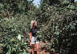 Luxury Coffee and Cultural Tour Around Lake Kivu