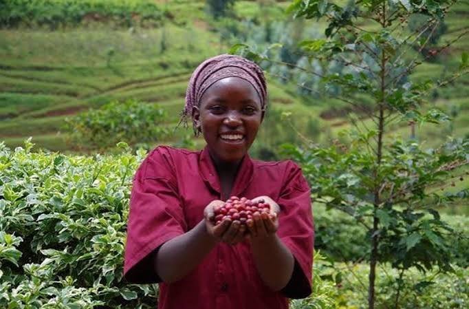 Coffee and Cultural Experiences Around Lake Kivu Rwanda
