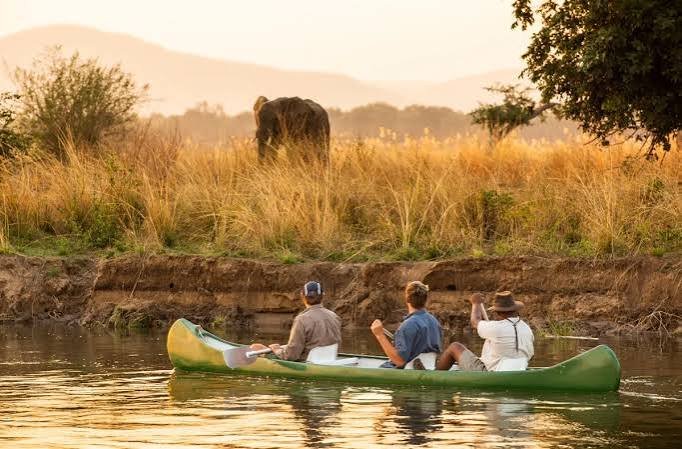 Conservation and Responsible Luxury in Rwanda