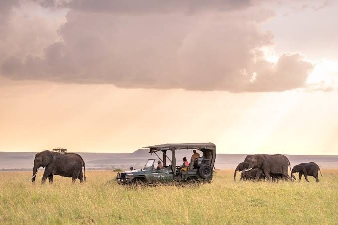 Luxury Rwanda Safari Conservation Experience