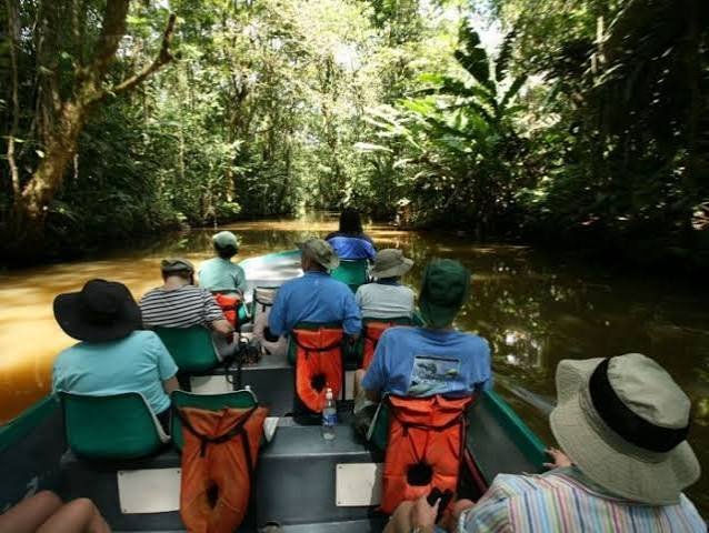 Conservation and Responsible Luxury Across the Rwanda Safari Journey