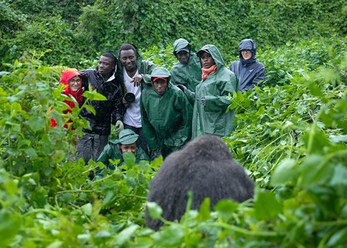 A Gorilla Trekking Rwanda for Families safari offers families the chance to discover one of the world’s most fascinating wildlife experiences while enjoying comfort, safety, and unforgettable moments together.