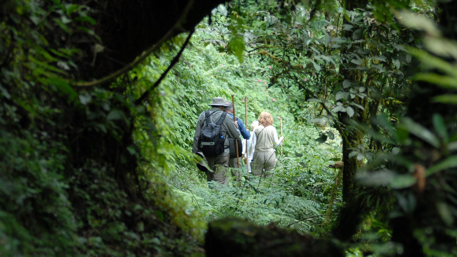 Dian Fossey Hike and Tomb in Rwanda