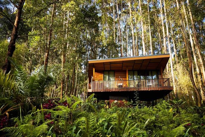 One&Only Gorilla's Nest and Magashi Luxury Safari