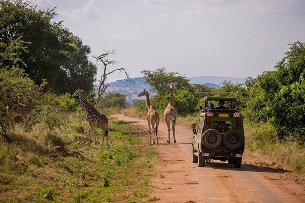 9 Days Luxury Rwanda Safari