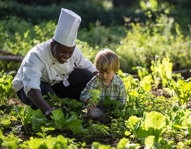 Fresh garden produce used at a luxury lodge in Rwanda