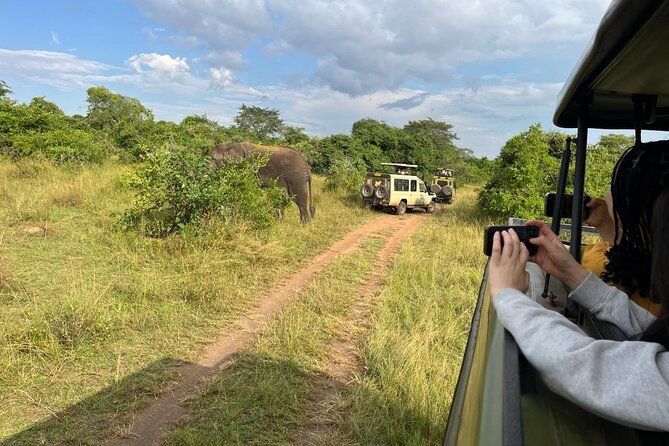 Is Akagera National Park Worth Visiting for wildlife safaris in Rwanda