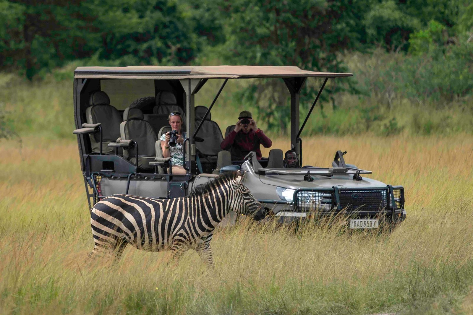 Game Drives at Wilderness Magashi Peninsula