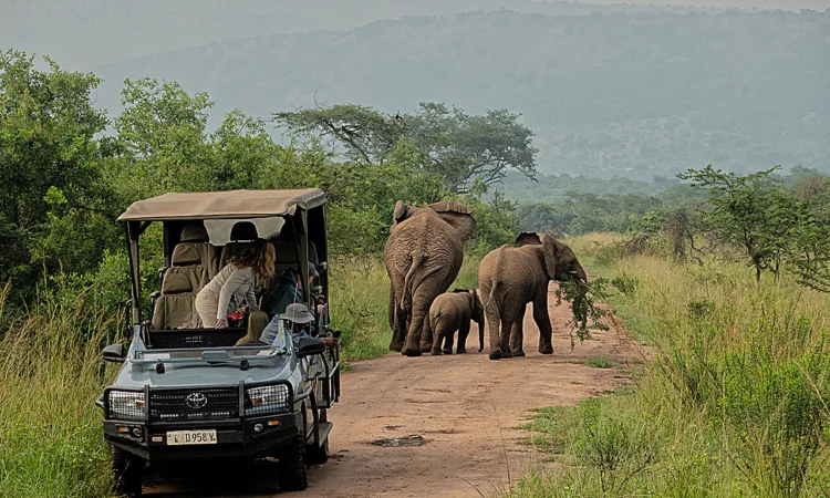 6 Days Safari & Gorilla Tracking Rwanda