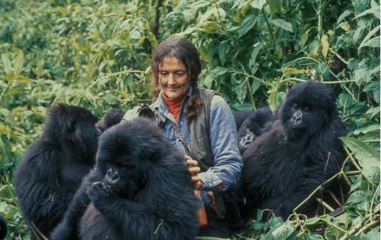 Gorilla permits, passport details and families travelling with teenagers in Rwanda