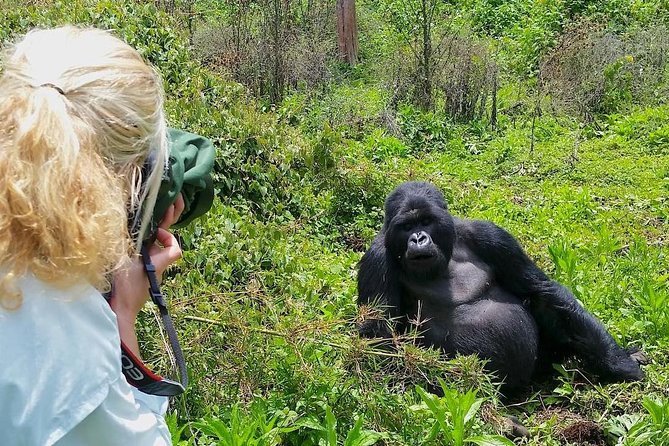 4 Days Ultra-Luxury Gorilla Trekking Rwanda