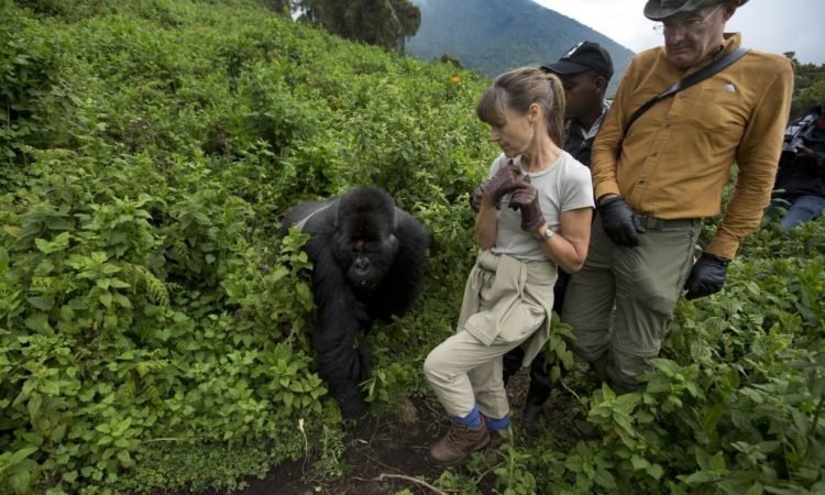 Gorilla Trekking in Volcanoes National Park Rwanda