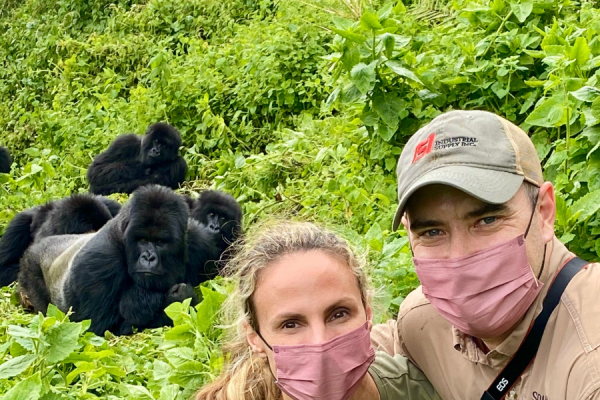 Gorilla Trekking vs Zanzibar Honeymoon Comparison