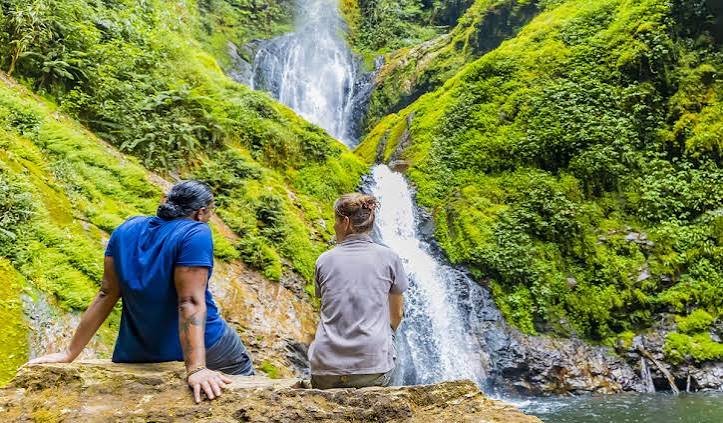 Nyungwe Forest hiking adventure and rainforest trails in Rwanda