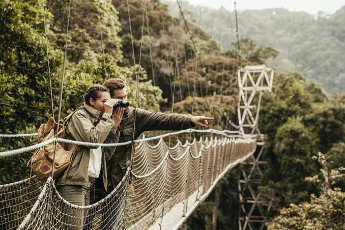 Cost of travelling to Rwanda for a first Africa safari