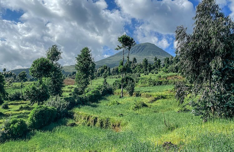 Is Rwanda good for first-time Africa travelers